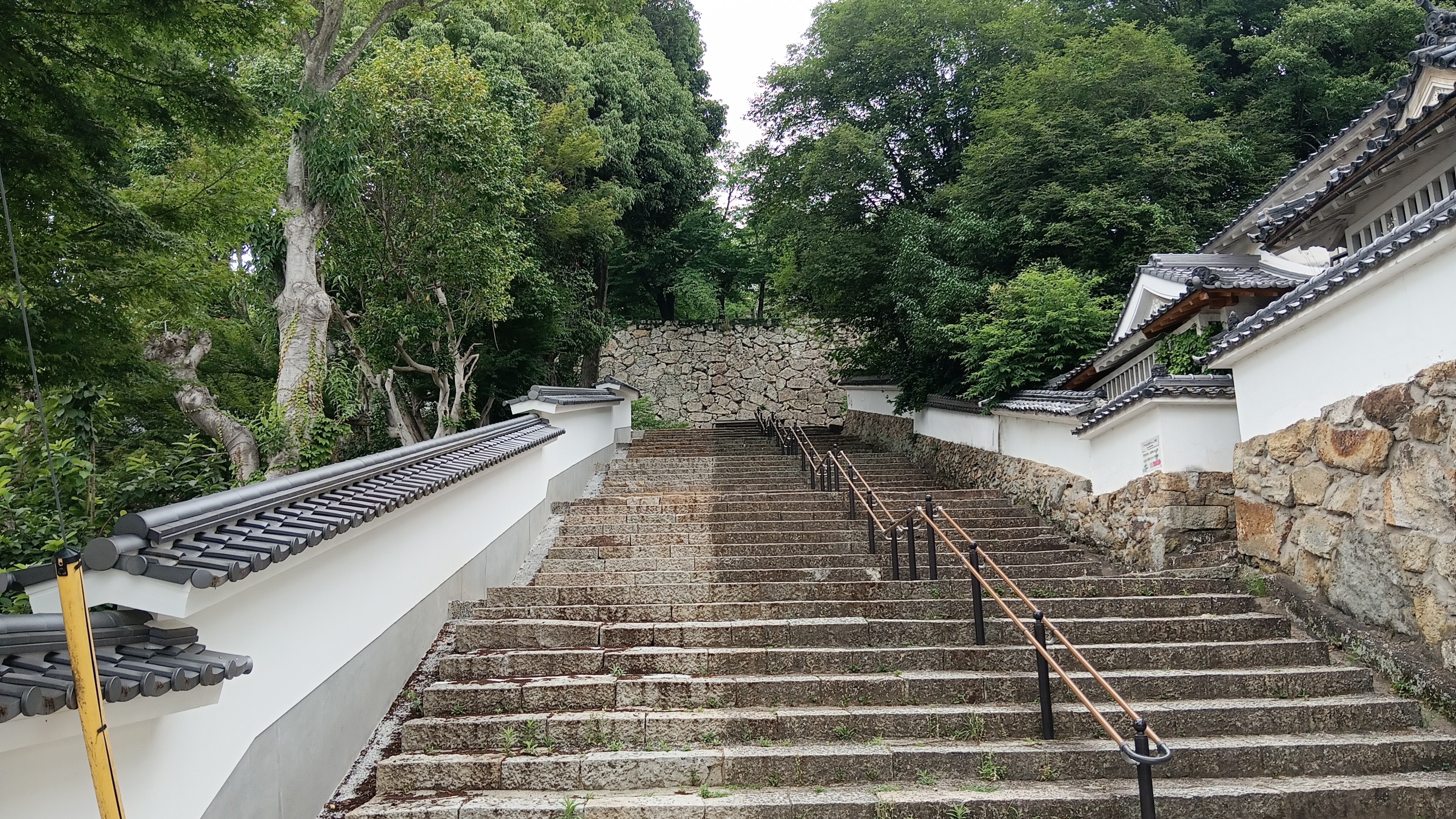 細かい方はお店でご購入ください 細かい方はお店でご購入ください